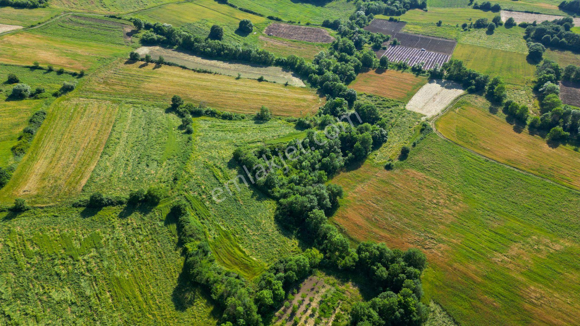 Kocaeli Karamürsel Hayriye Satılık 21.662 M2 Tarla - Görsel 16