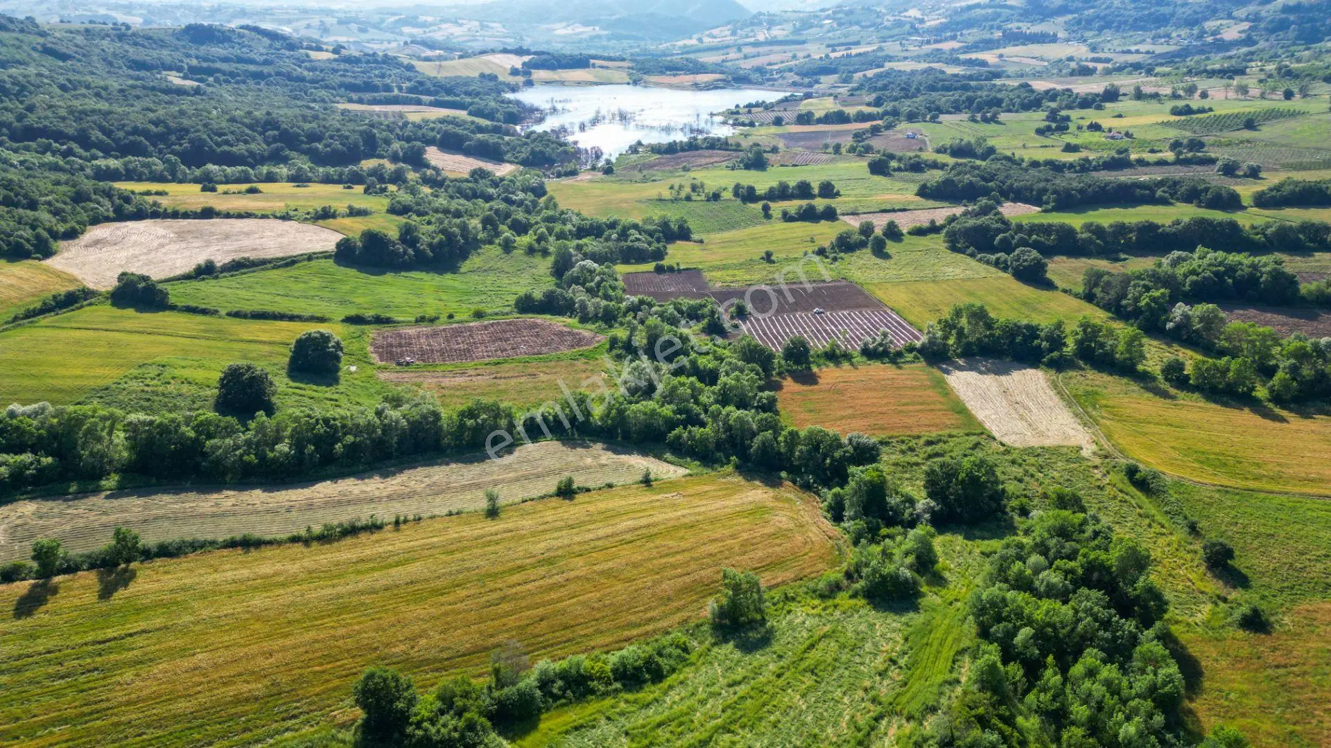 Kocaeli Karamürsel Hayriye Satılık 21.662 M2 Tarla - Görsel 4