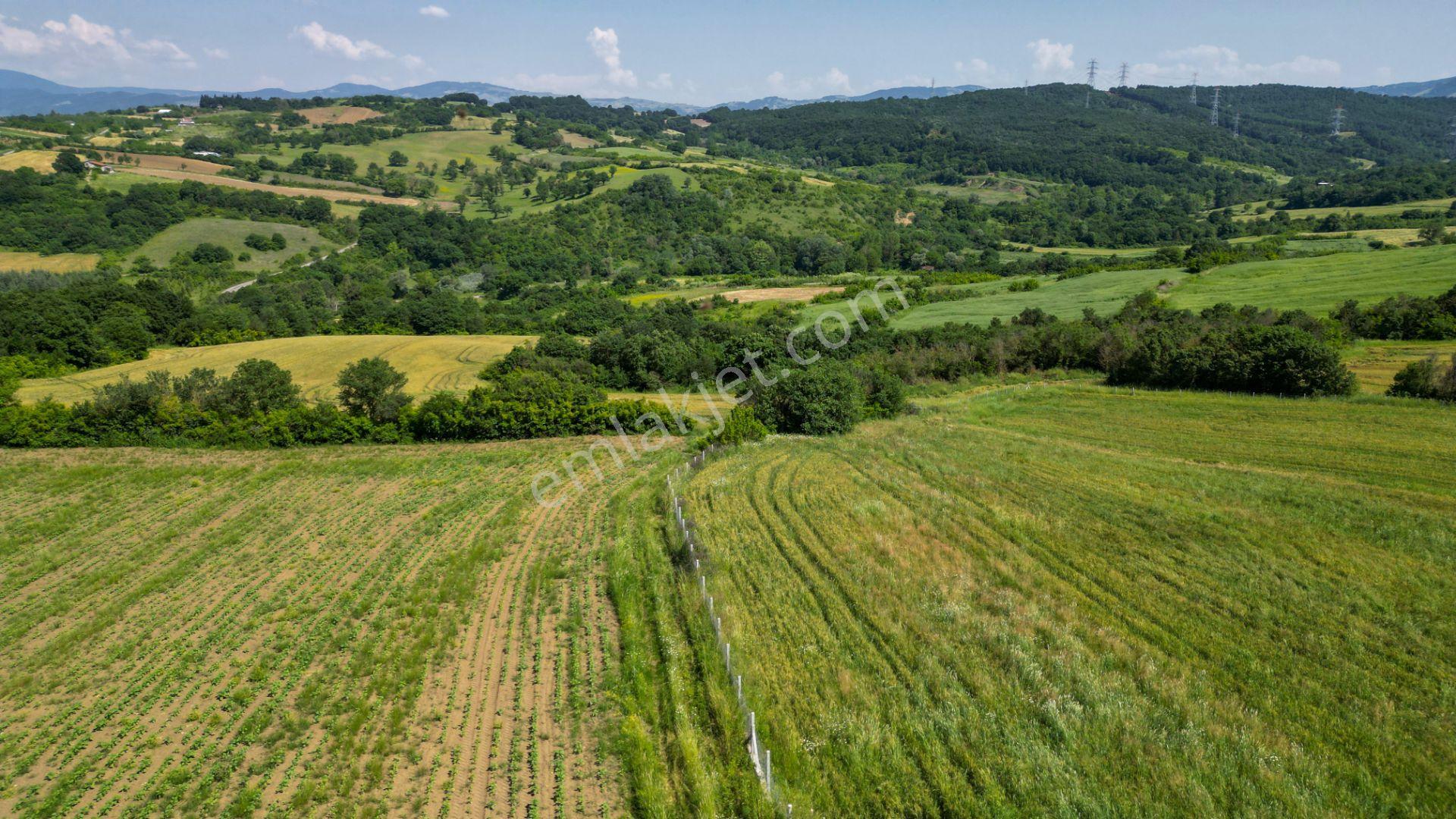 Kocaeli Karamürsel Hayriye Satılık 21.662 M2 Tarla - Görsel 14