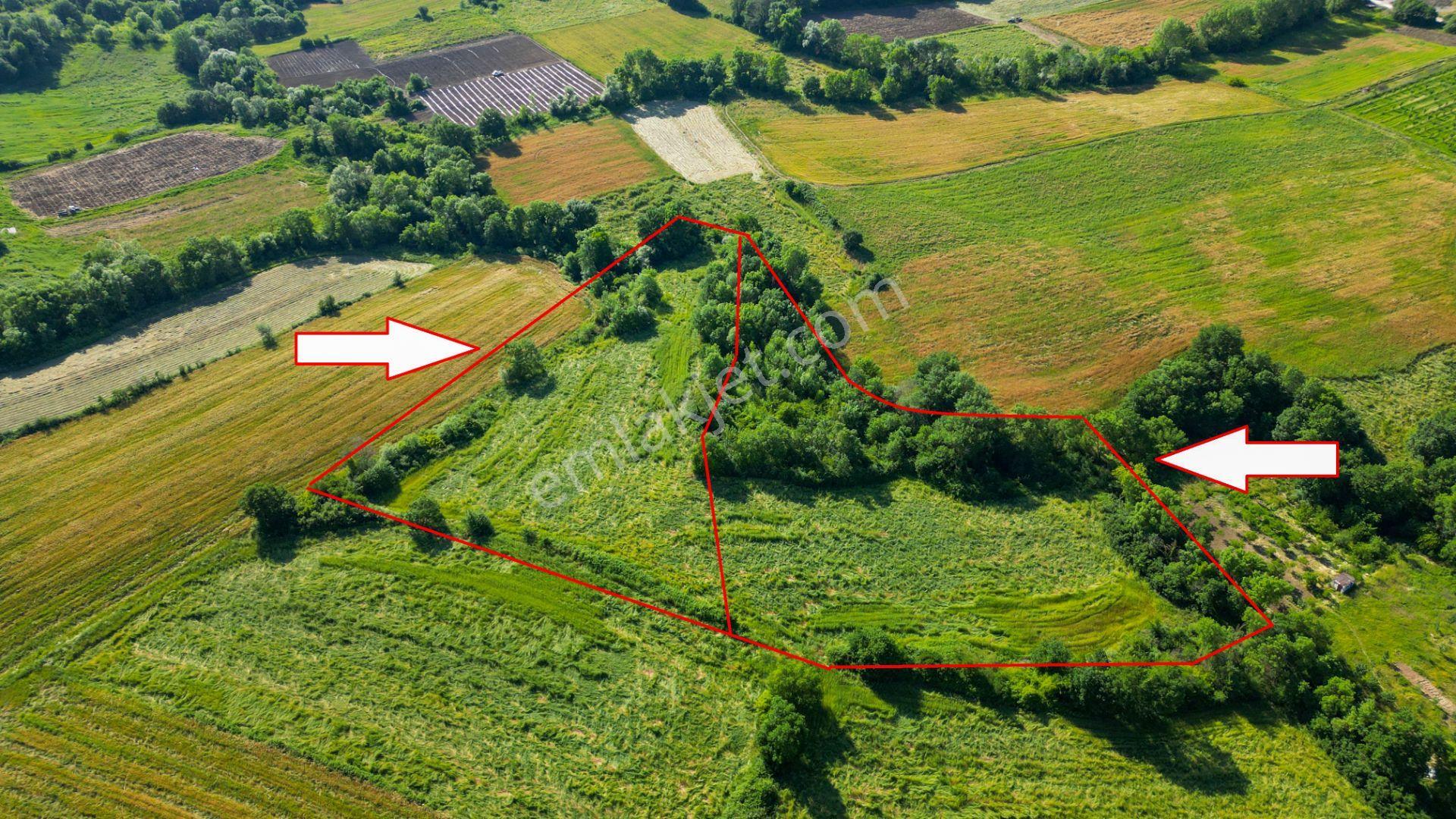 Kocaeli Karamürsel Hayriye Satılık 21.662 M2 Tarla