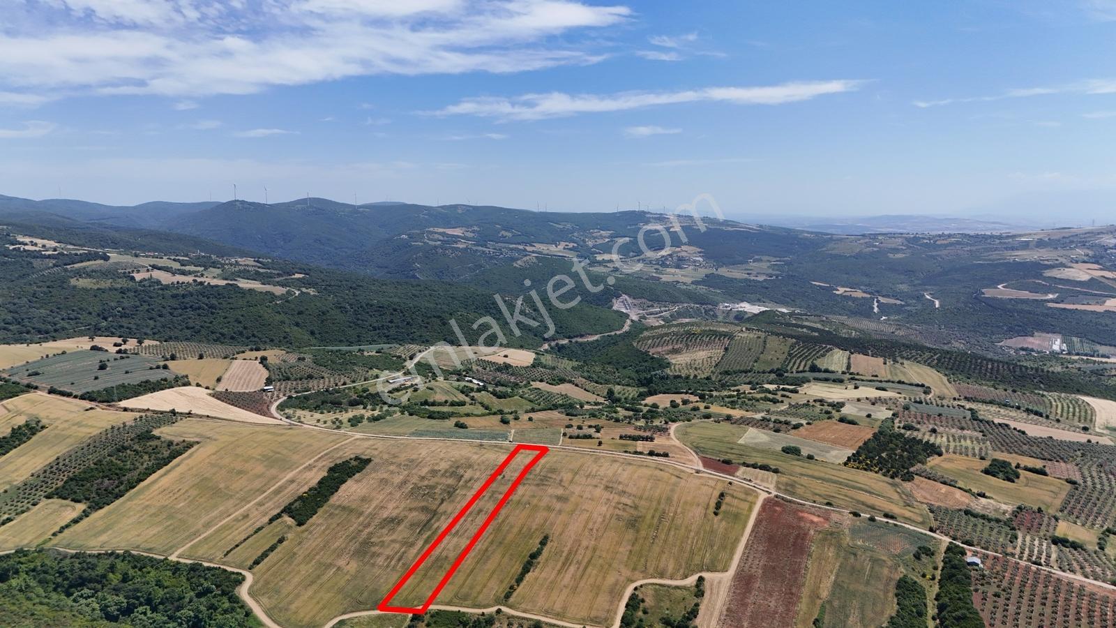Bursa Karacabey Keşlik Asfalt Cephe Yatırımlık Arazi - Görsel 23
