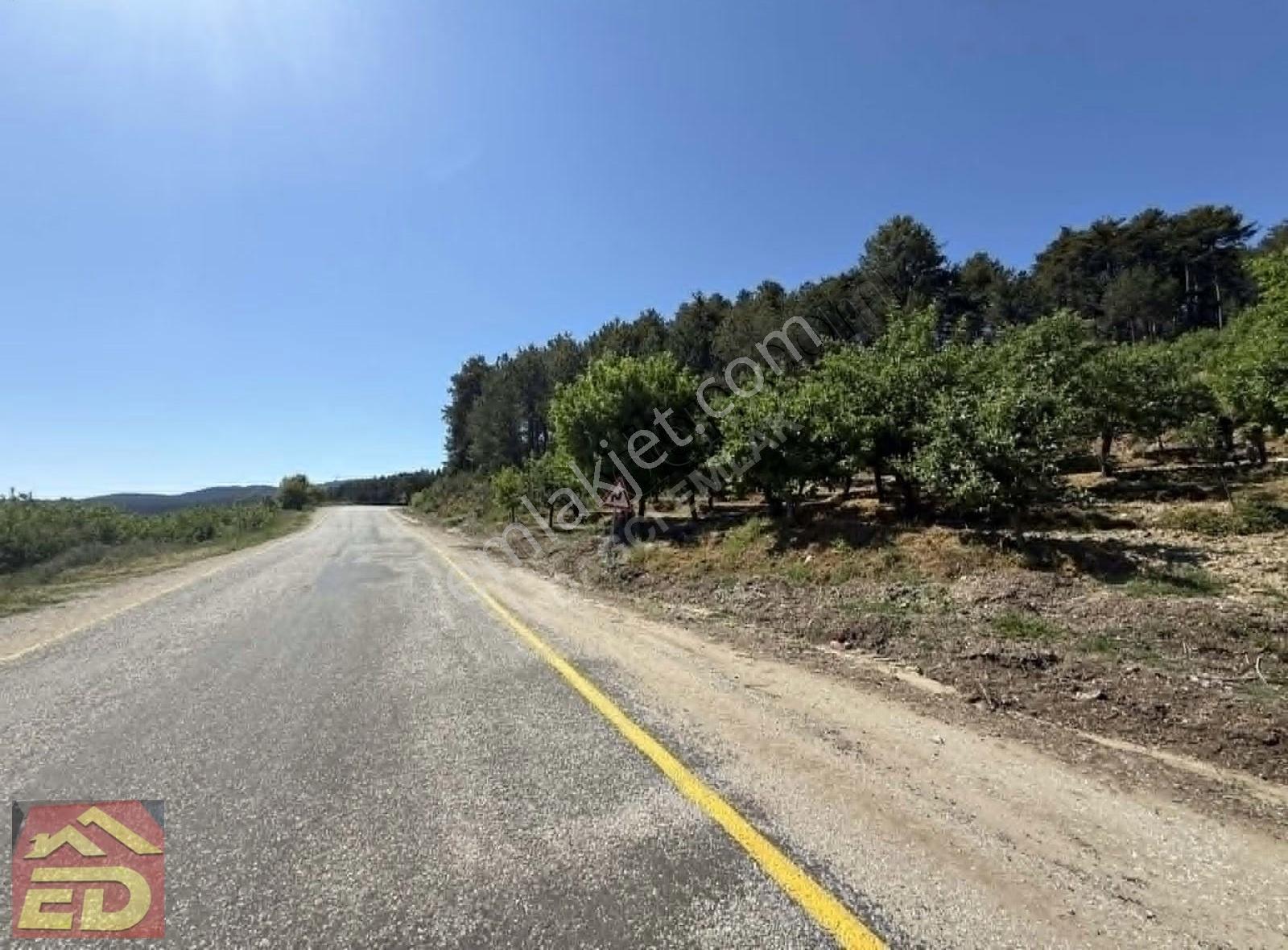 Dağcı Emlak Kovanoluk Yaylasında 21555 M2 Yetişkin Elma Bahçesi - Görsel 27