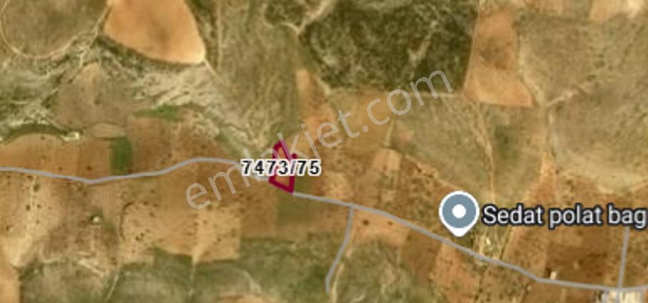 Bilekte 3740 Yola Sıfır Bağevlik Arazi Tek Tapu - Görsel 3