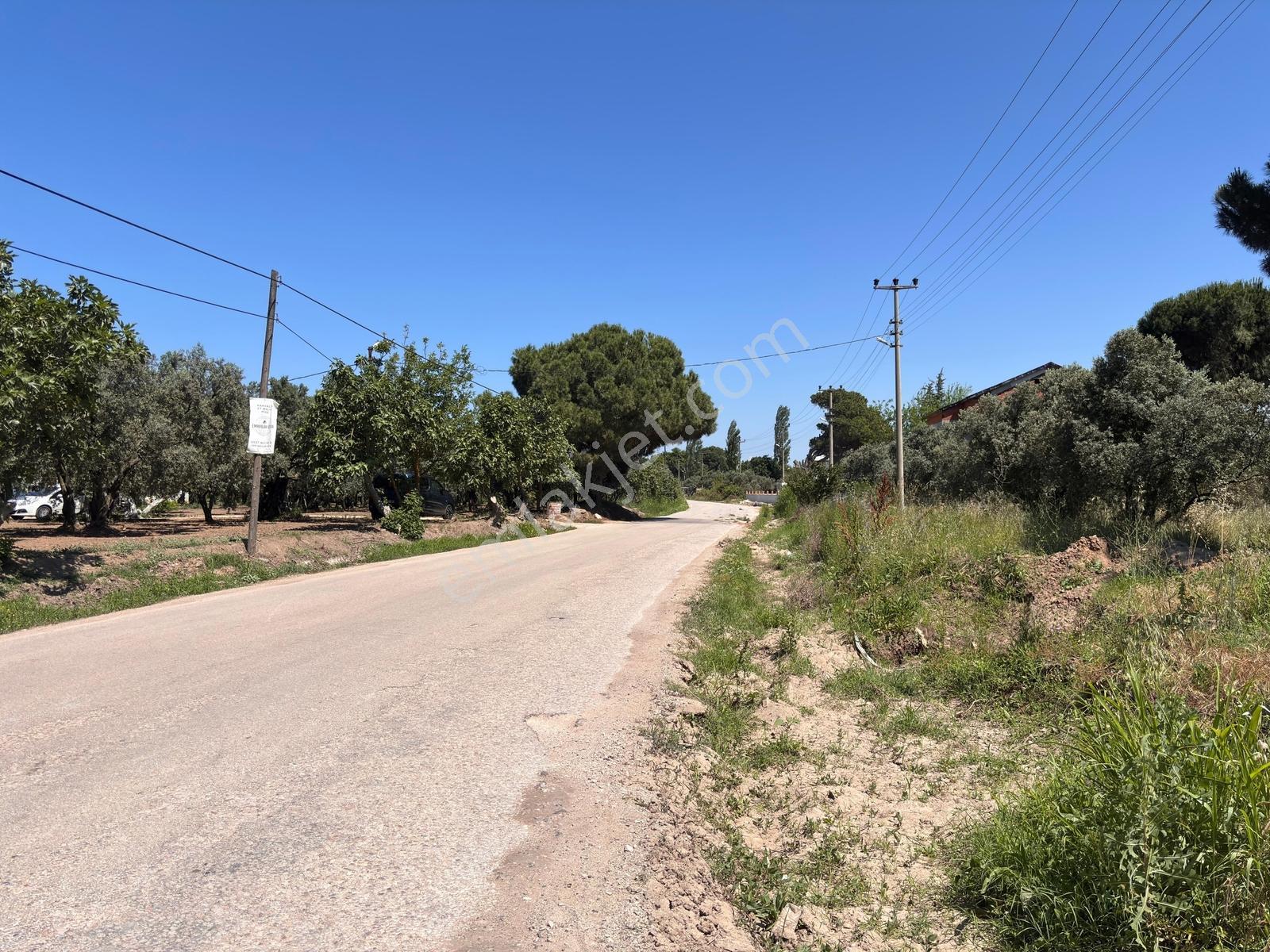 Erdek Zeytinli Kastri Mevkinde 602 M² Villa İmarlı Köşe Parsel - Görsel 5
