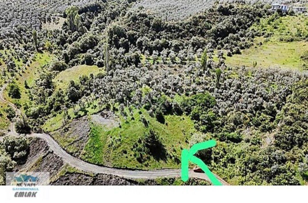 İznik Göllüce'de Yola Cephe, Göl Yakınında Satılık 3.406 M²