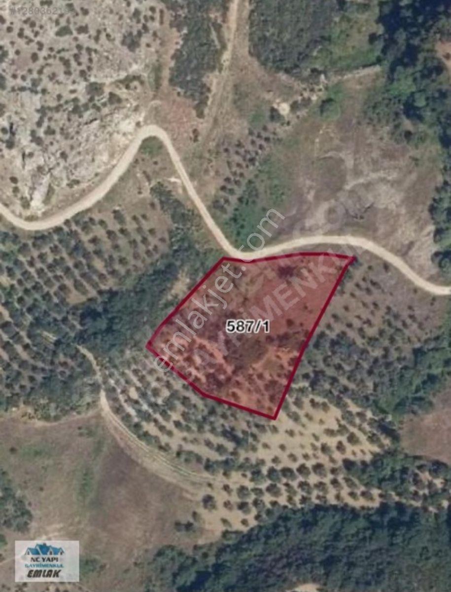 İznik Göllüce'de Yola Cephe, Göl Yakınında Satılık 3.406 M² - Görsel 4