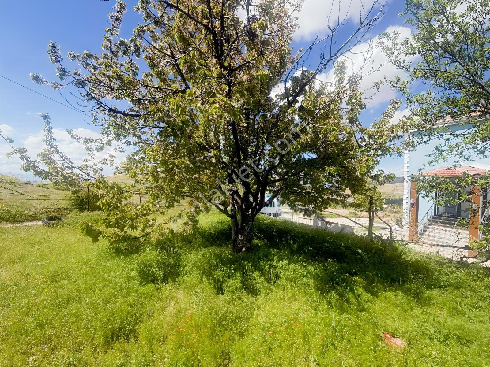 Konak Merkezde İki Adet 550 M Pareel Ve İki Katlı Ev
