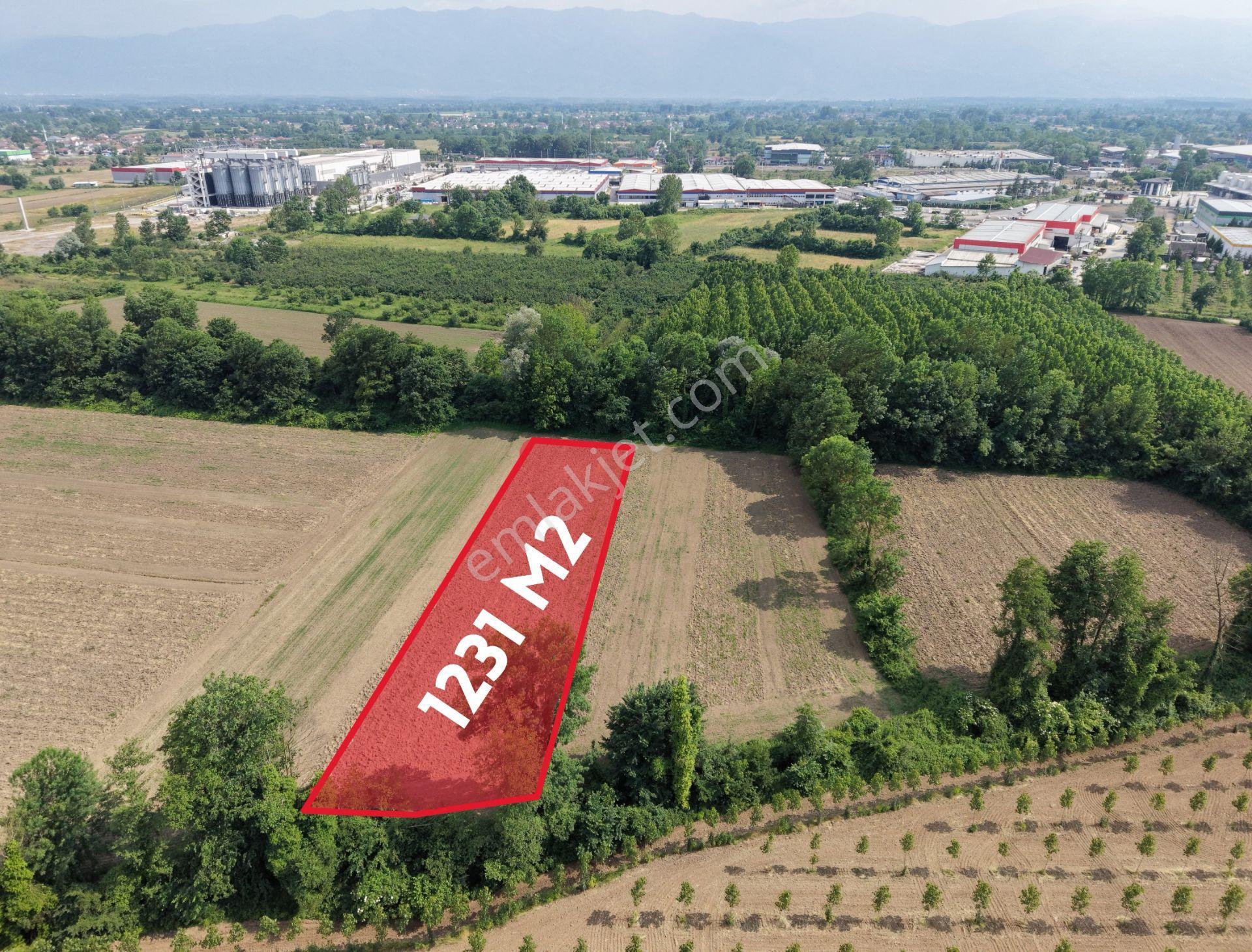 Elite Gd & 1231 M2 Sanayi İmarı Yanında Yatırımlık Fırsat Arazi - Görsel 6