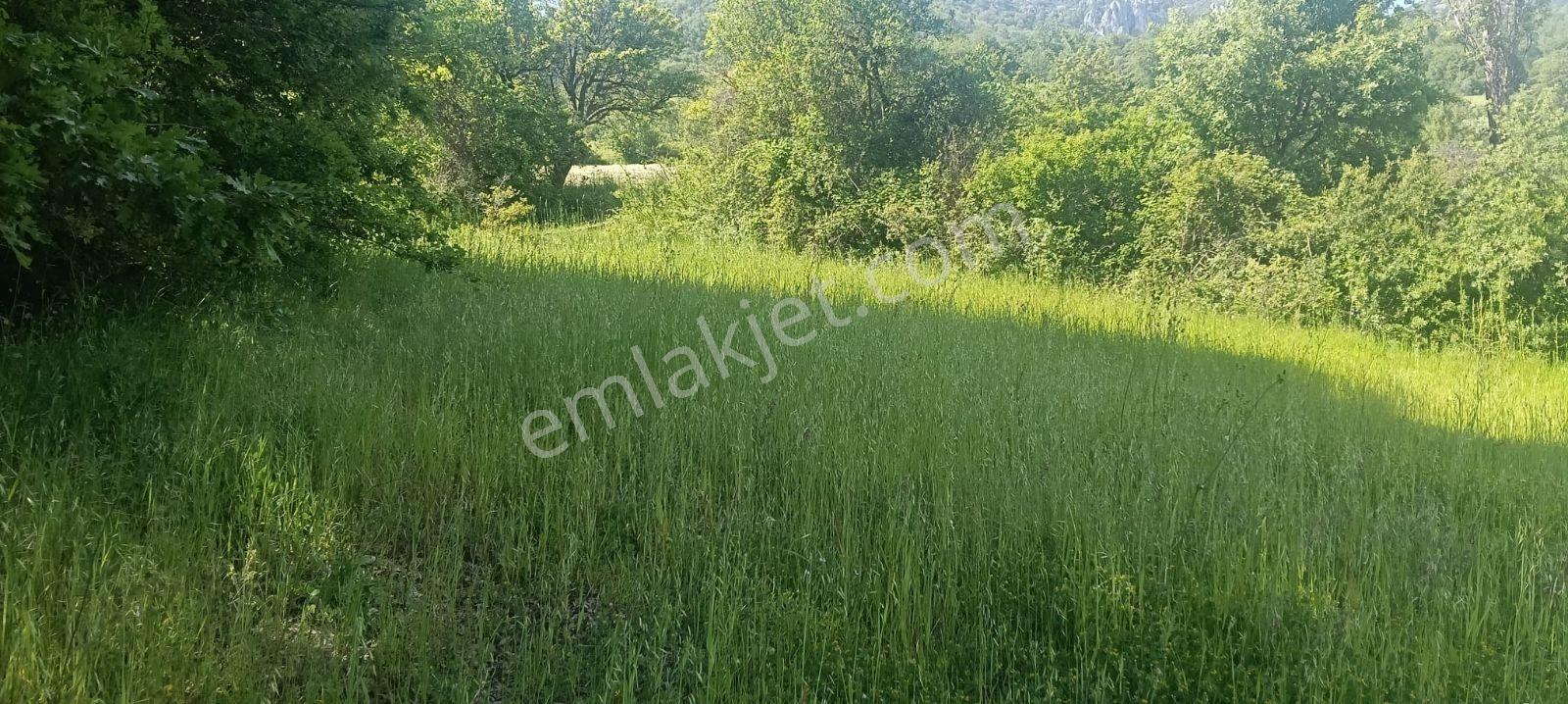 Sakarya Taraklı 2175 M2 %40 İmarlı Asfalta Cephe Fırsat Arsa - Görsel 6