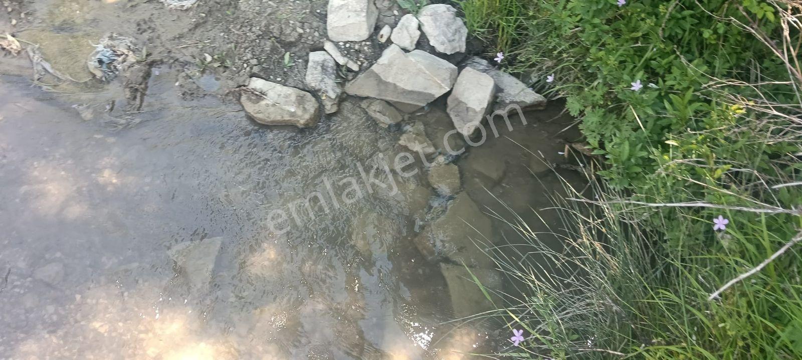 Sakarya Taraklı 2175 M2 %40 İmarlı Asfalta Cephe Fırsat Arsa - Görsel 9
