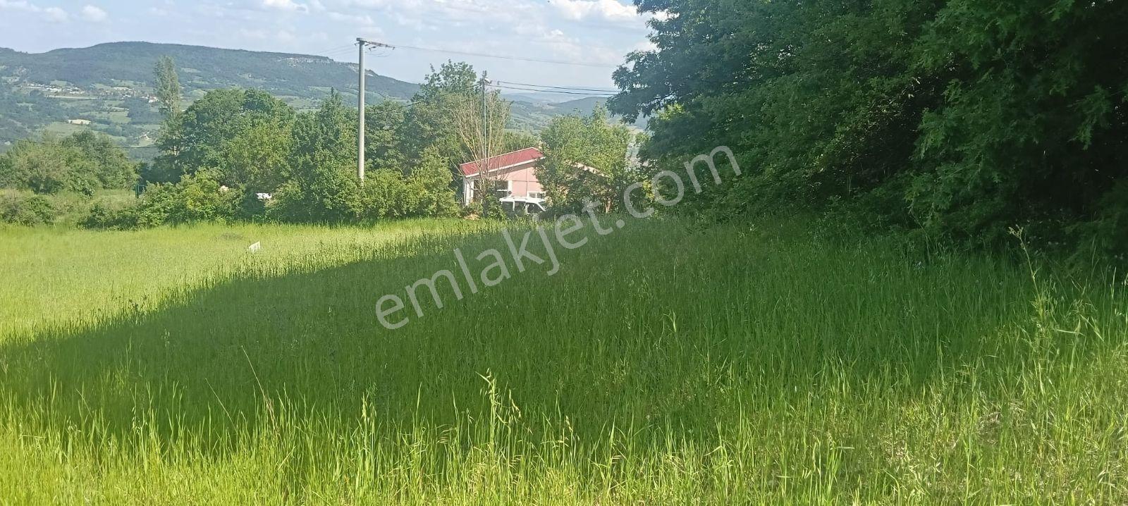 Sakarya Taraklı 2175 M2 %40 İmarlı Asfalta Cephe Fırsat Arsa - Görsel 8
