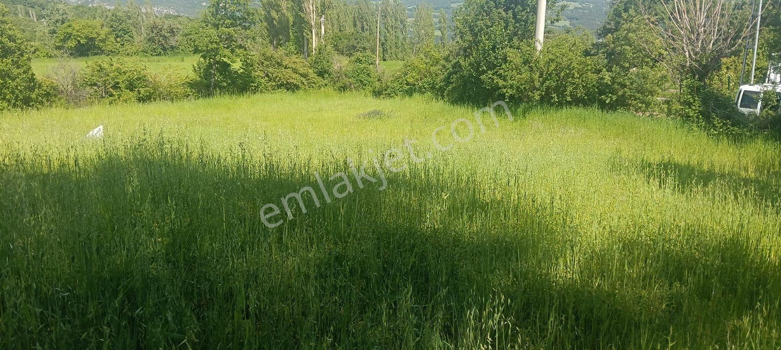 Sakarya Taraklı 2175 M2 %40 İmarlı Asfalta Cephe Fırsat Arsa - Görsel 5