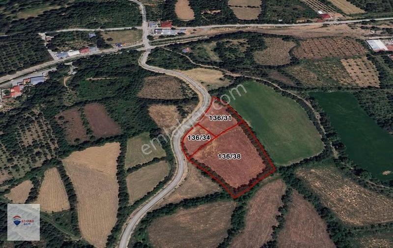 Remax Dem'den Cevizli Köyünde Satılık 4808 M2 Sulu Tarla - Görsel 2