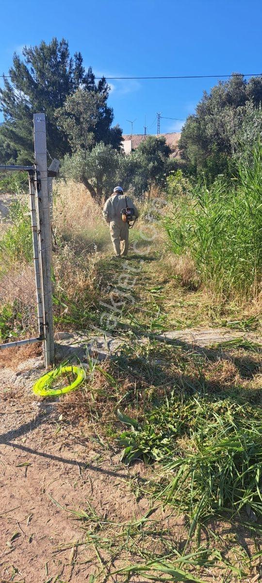 Mordoğan Emlaktan Kamukentte Bahçeli Eşyalı 0 Kiralık Yazlık - Görsel 10