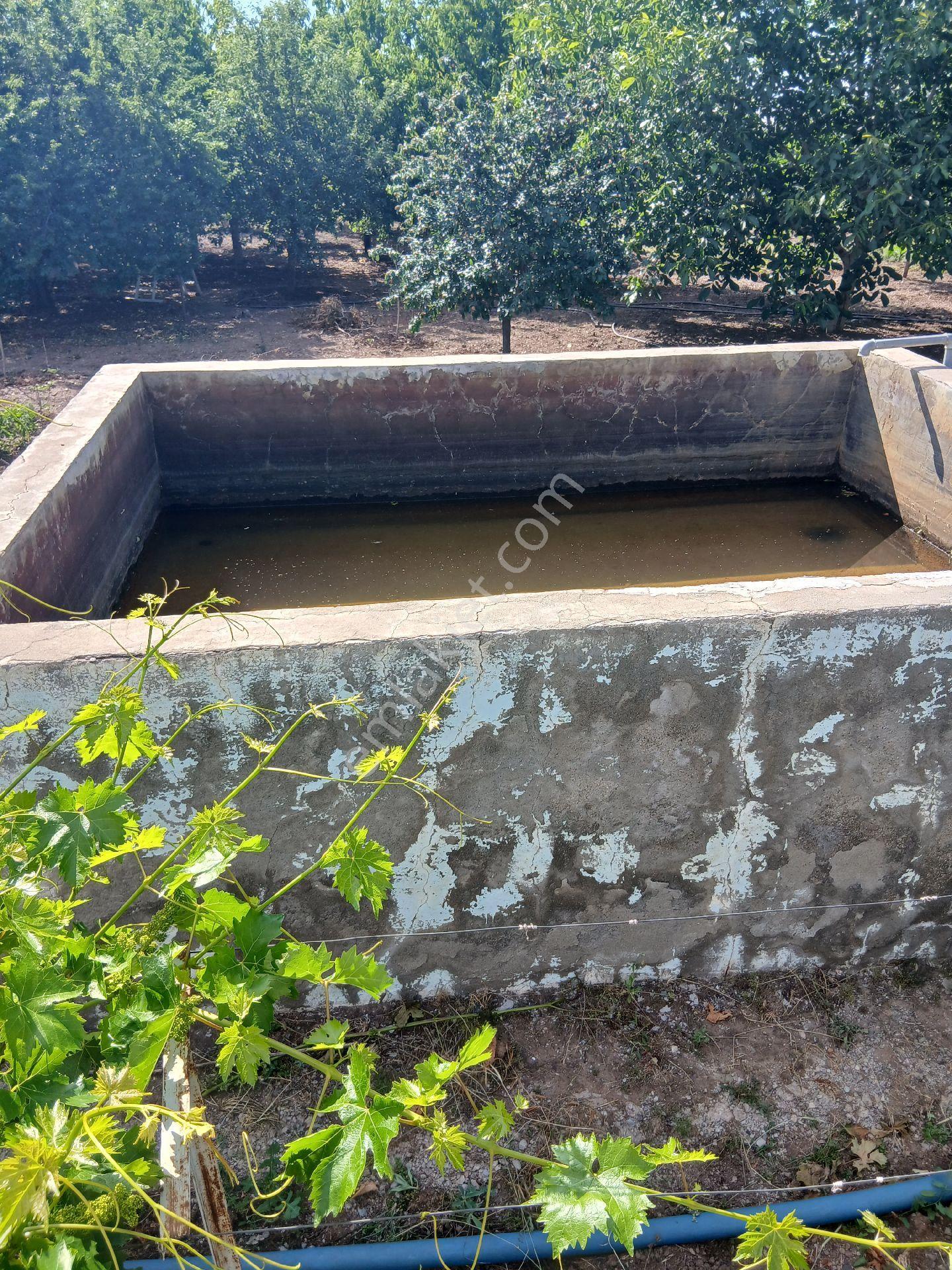 Gözebaşı Kinederiç Naturel Emlakta