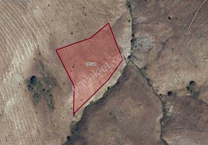Erzincan İliç'de 6.641 Metrekare Tek Parça Tarla