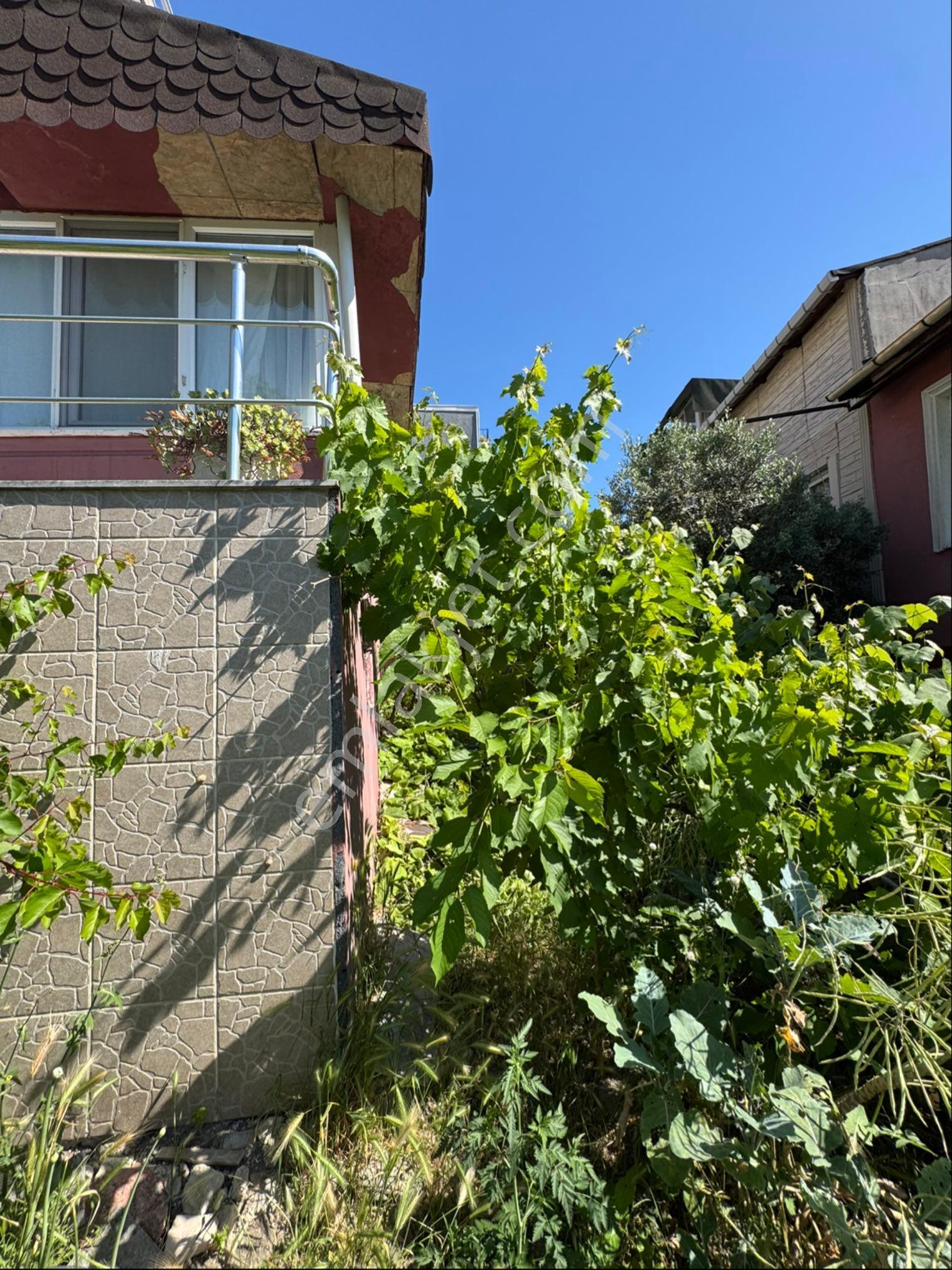 Beylikdüzü Gürpınardaeşyalı 4+1 Kiralık Villa - Görsel 17