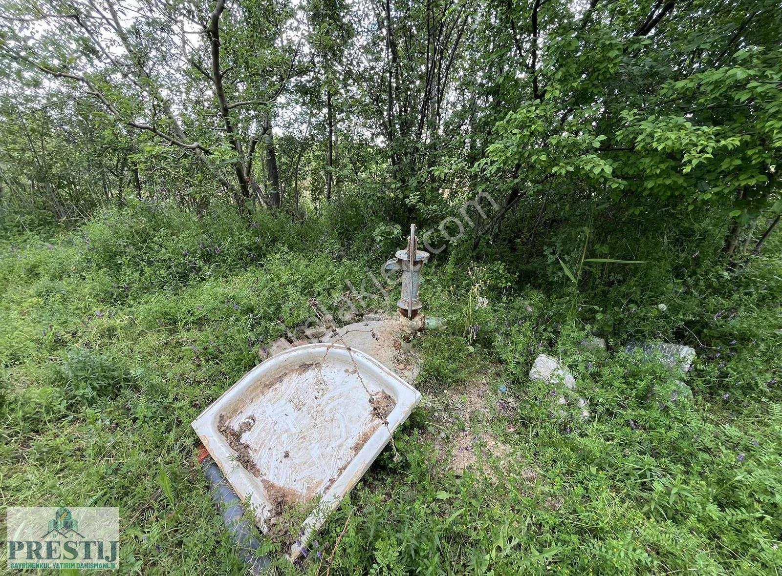 Salur Da Yolu Açık Müstakil Tapulu Meyve Bahçesi 6513m² - Görsel 6