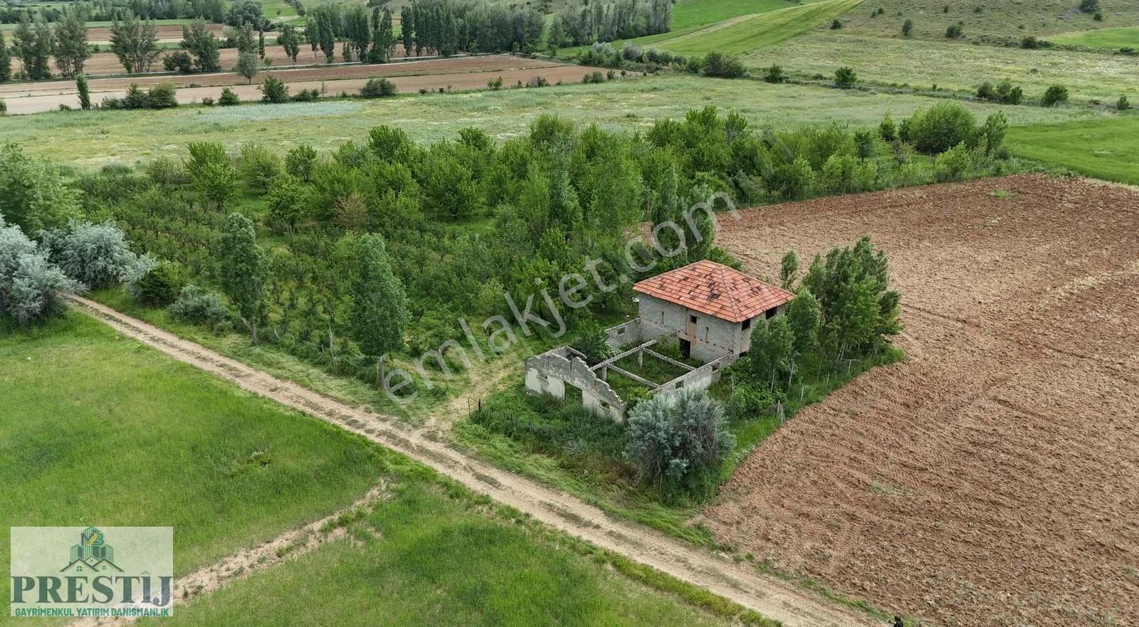 Salur Da Yolu Açık Müstakil Tapulu Meyve Bahçesi 6513m² - Görsel 16