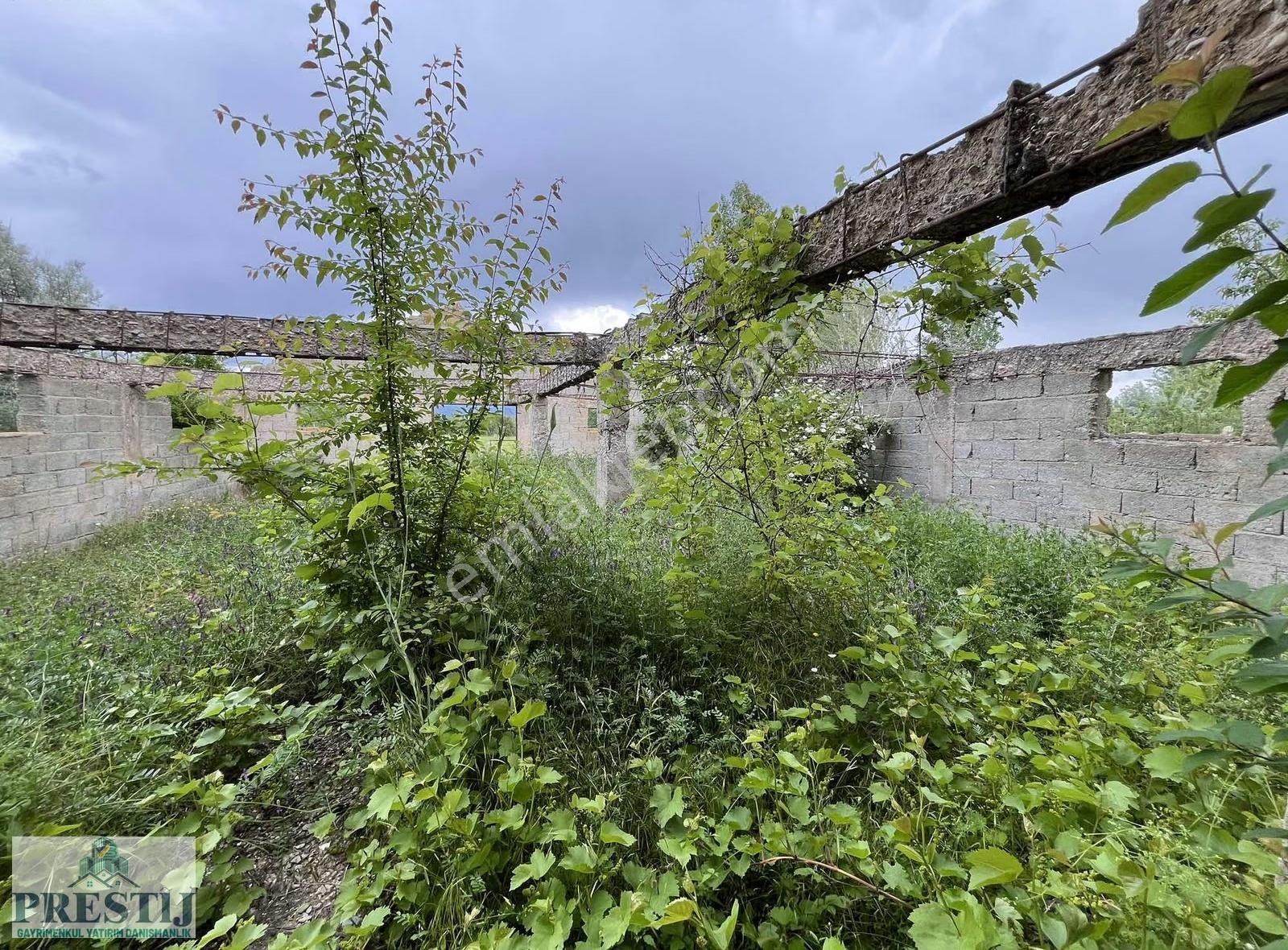 Salur Da Yolu Açık Müstakil Tapulu Meyve Bahçesi 6513m² - Görsel 11