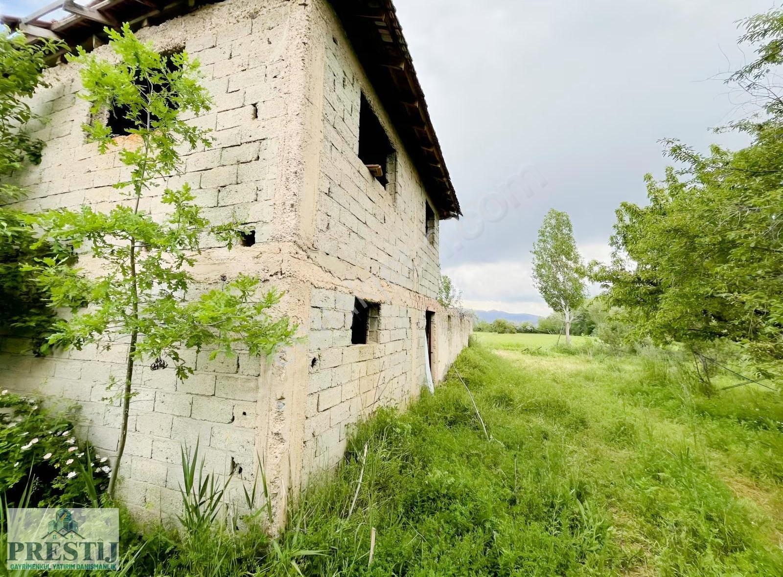 Salur Da Yolu Açık Müstakil Tapulu Meyve Bahçesi 6513m² - Görsel 4