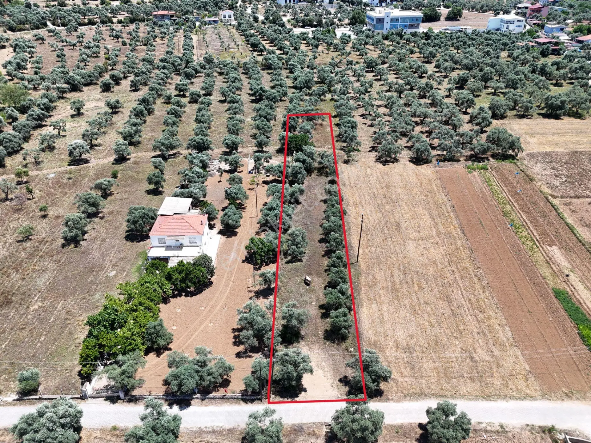 Menteş'te Emsalsiz Fiyata 2700m² İmarlı Arsa Al-kat Karşılığına Ver - Görsel 3