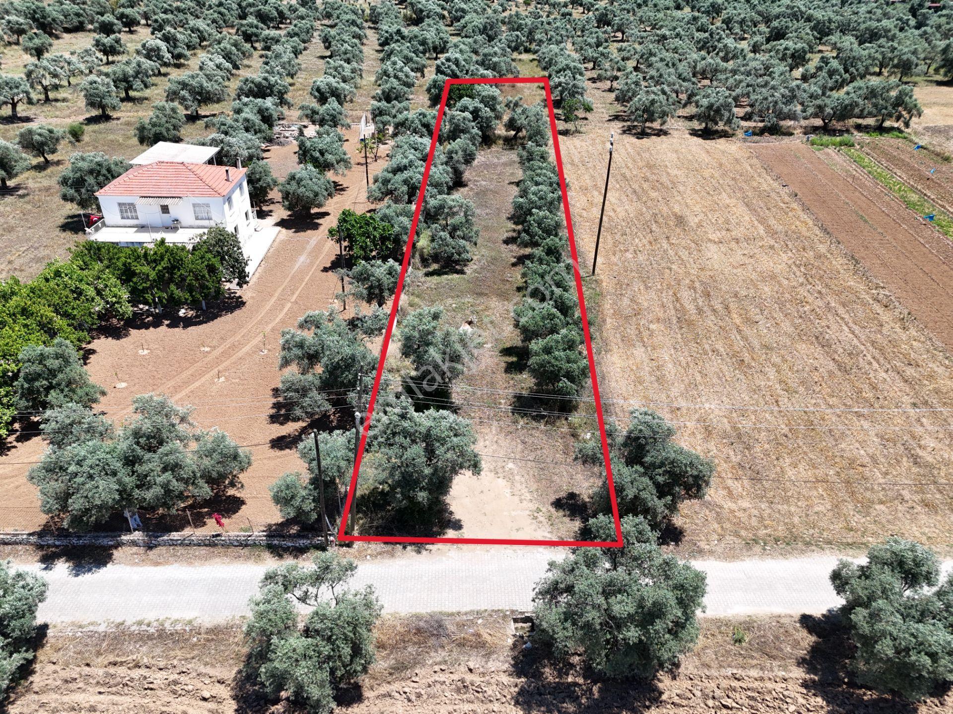 Menteş'te Emsalsiz Fiyata 2700m² İmarlı Arsa Al-kat Karşılığına Ver - Görsel 5