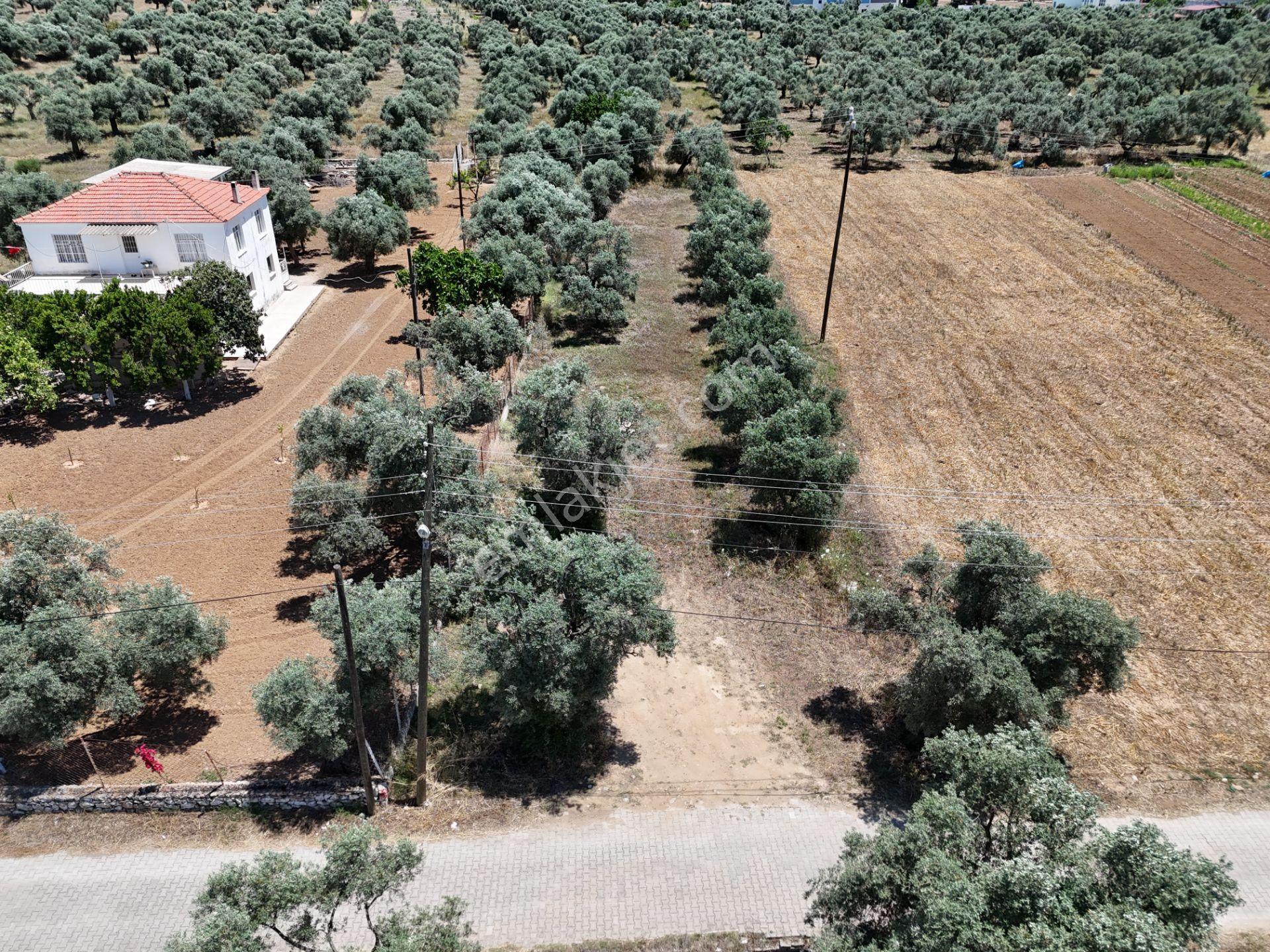 Menteş'te Emsalsiz Fiyata 2700m² İmarlı Arsa Al-kat Karşılığına Ver - Görsel 6