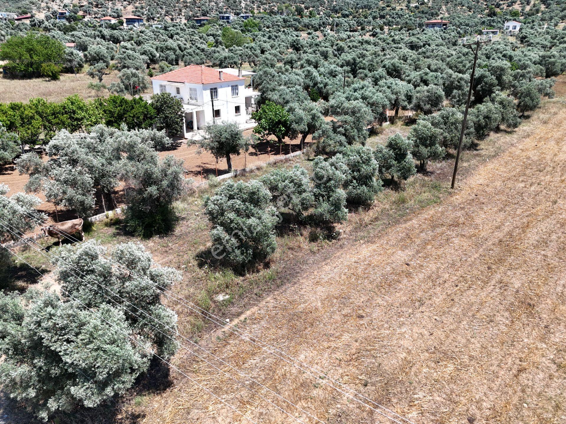 Menteş'te Emsalsiz Fiyata 2700m² İmarlı Arsa Al-kat Karşılığına Ver - Görsel 7