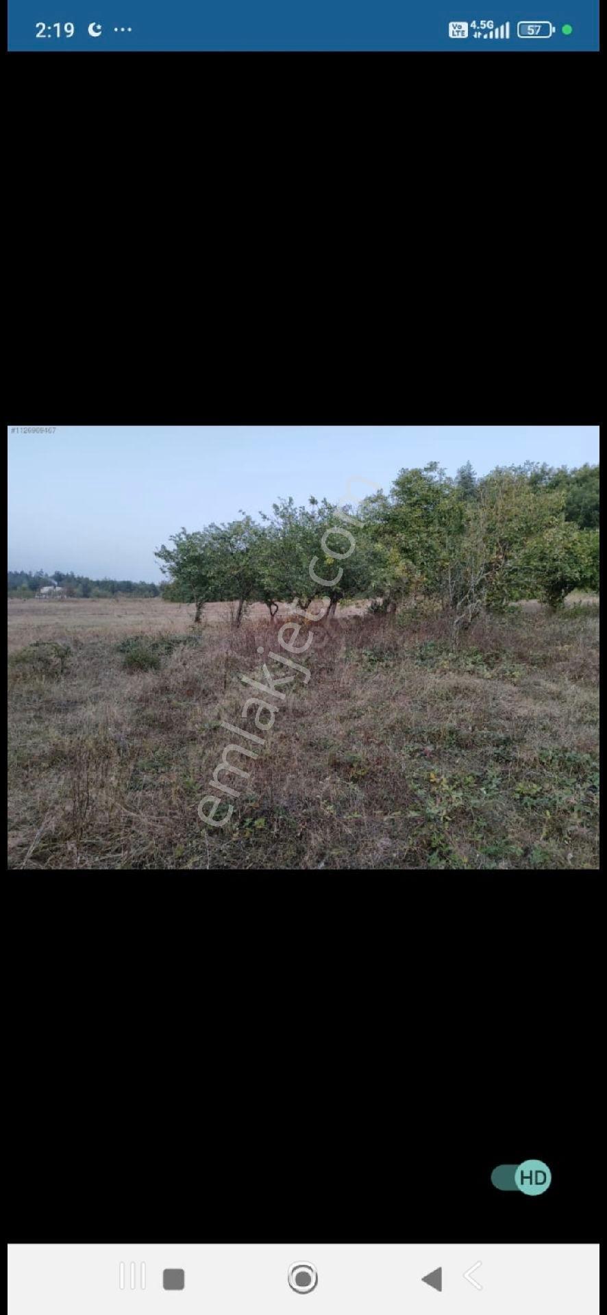 Bursa İznik Elmalıda Satılık Arsa - Görsel 6