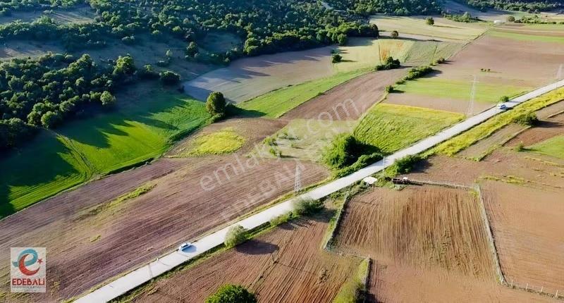 Kurtköyde 10.908 M2 Asfalt Kenarı Fırsat Yatırımlık Arazi - Görsel 3