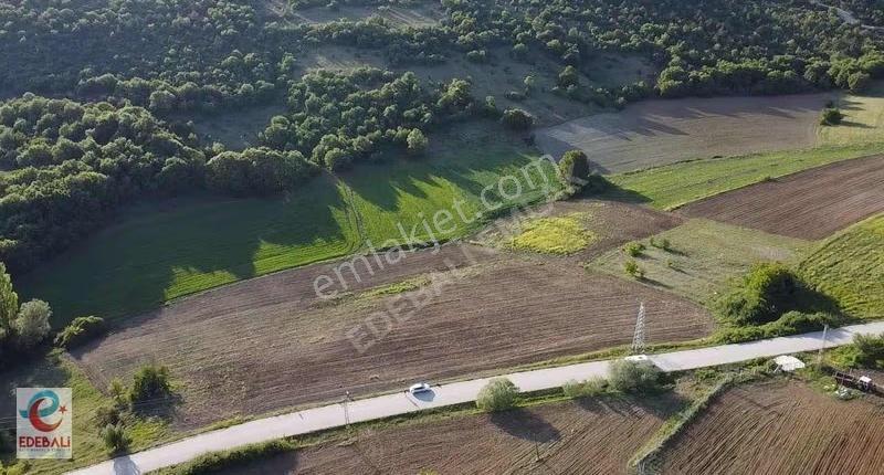 Kurtköyde 10.908 M2 Asfalt Kenarı Fırsat Yatırımlık Arazi - Görsel 21