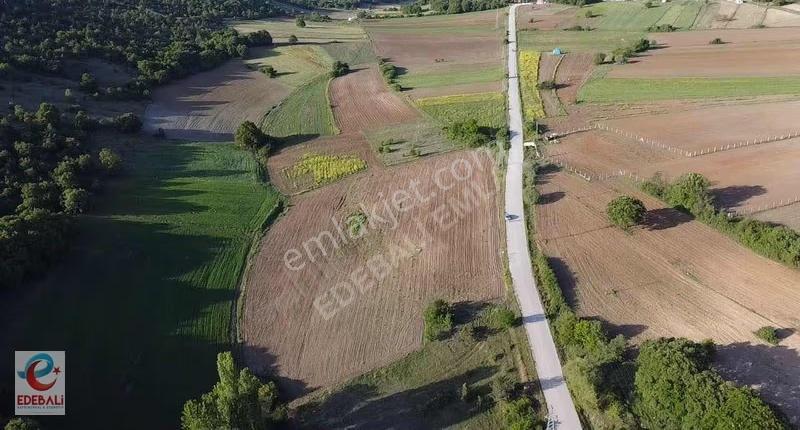 Kurtköyde 10.908 M2 Asfalt Kenarı Fırsat Yatırımlık Arazi - Görsel 7