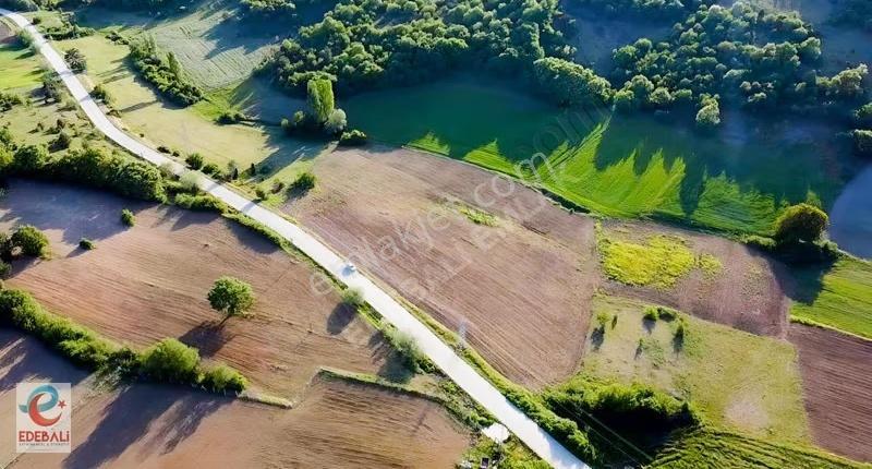 Kurtköyde 10.908 M2 Asfalt Kenarı Fırsat Yatırımlık Arazi - Görsel 2