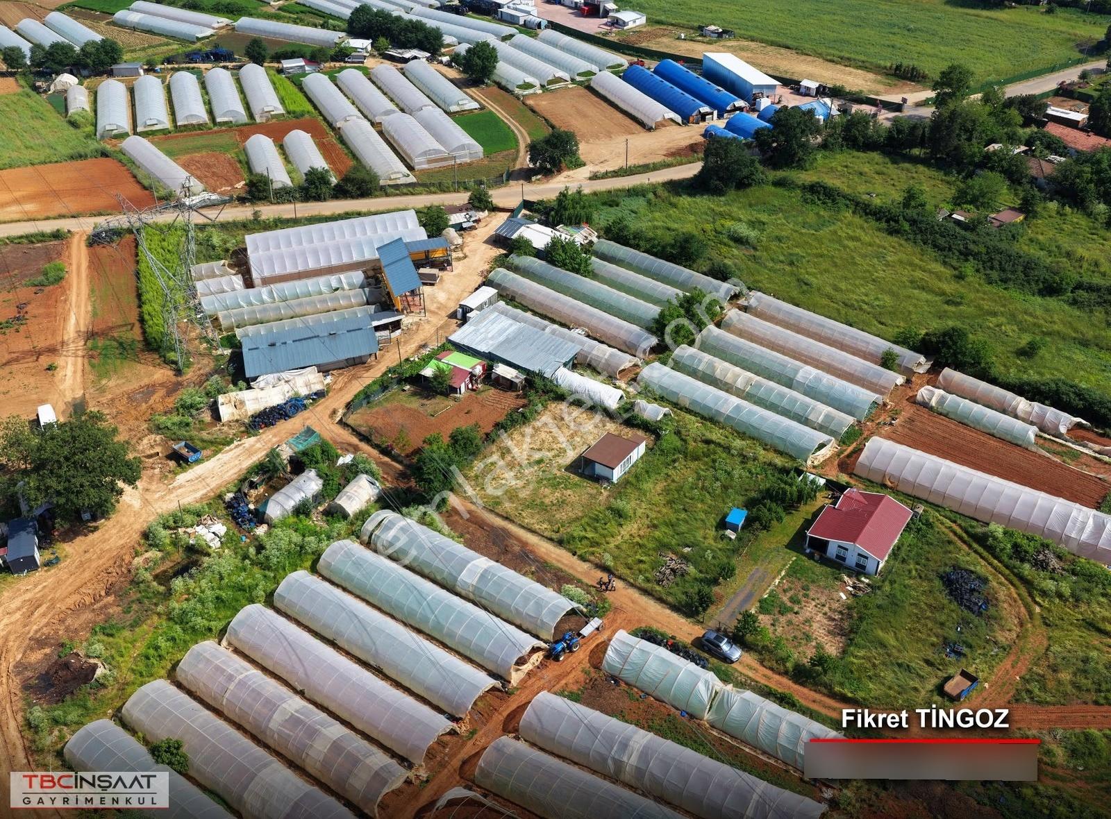 Tbc Gayrimenkul | Gebze Cumaköy'de 600 M² Satılık Tarla - Görsel 12
