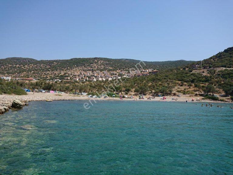 Dikili Bademlide 35.568 M² Yüksek Getirili Komple Satılık Arazi - Görsel 9