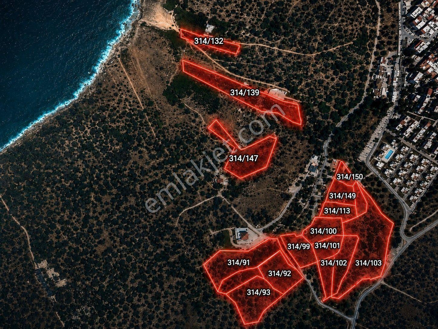 Dikili Bademlide 35.568 M² Yüksek Getirili Komple Satılık Arazi