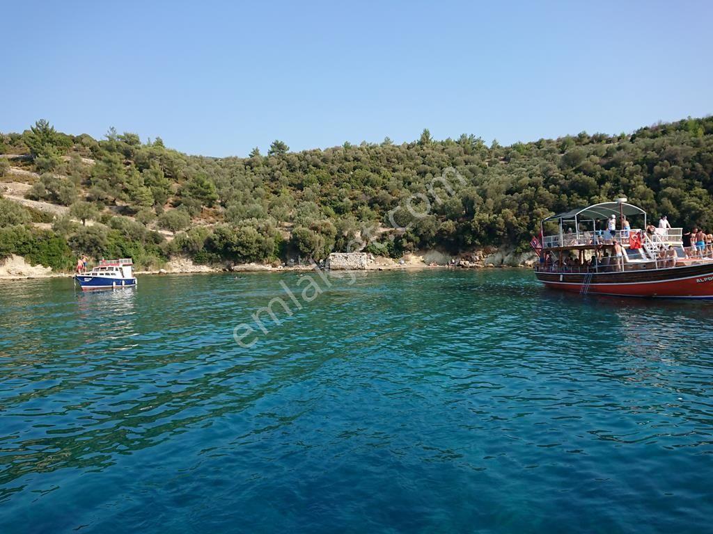 Dikili Bademlide 35.568 M² Yüksek Getirili Komple Satılık Arazi - Görsel 10