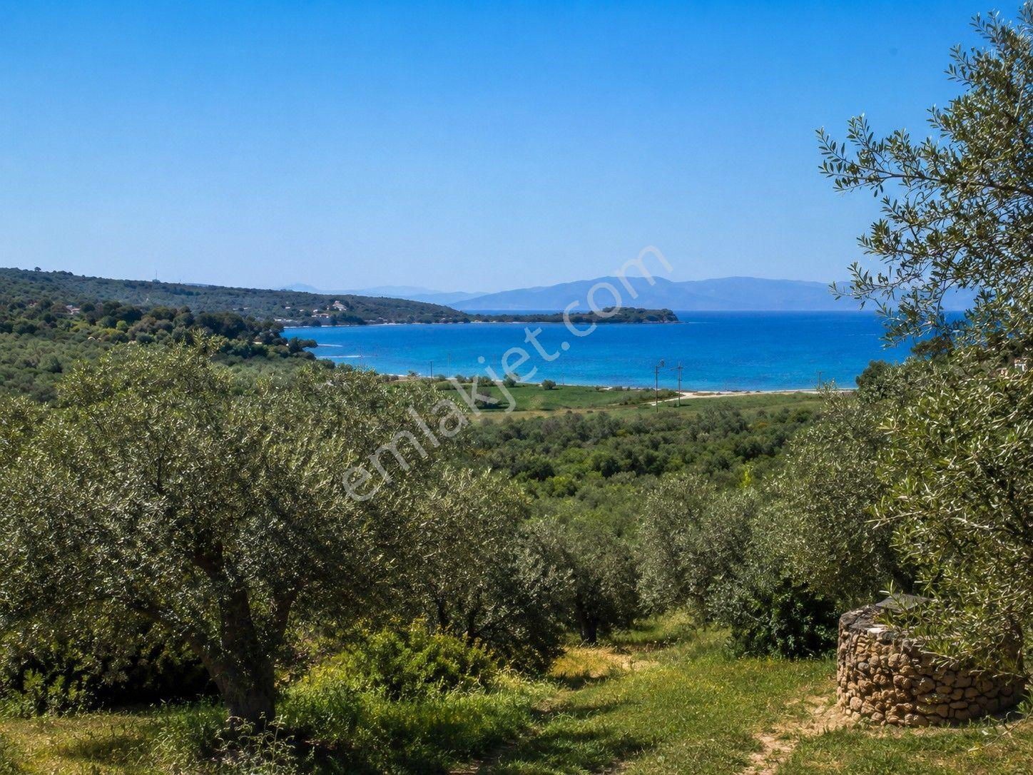 Dikili Bademlide 35.568 M² Yüksek Getirili Komple Satılık Arazi - Görsel 7