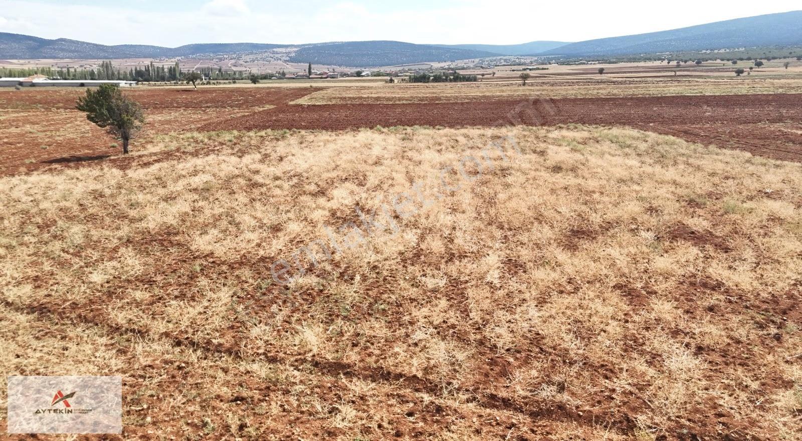 Akören Karahüyük Mahallesinde 3.870 M² Müstakil Tapulu Tarla - Görsel 7