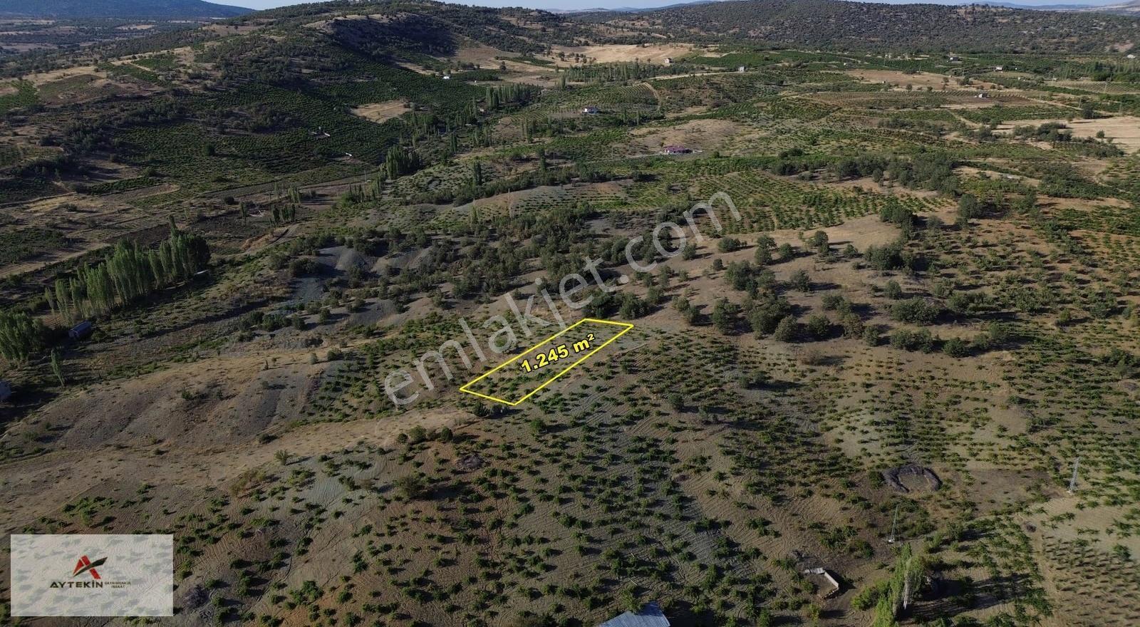 Bozkır Hamzalar Mahallesinde 1.245 M² Müstakil Tapulu Bağ - Görsel 2