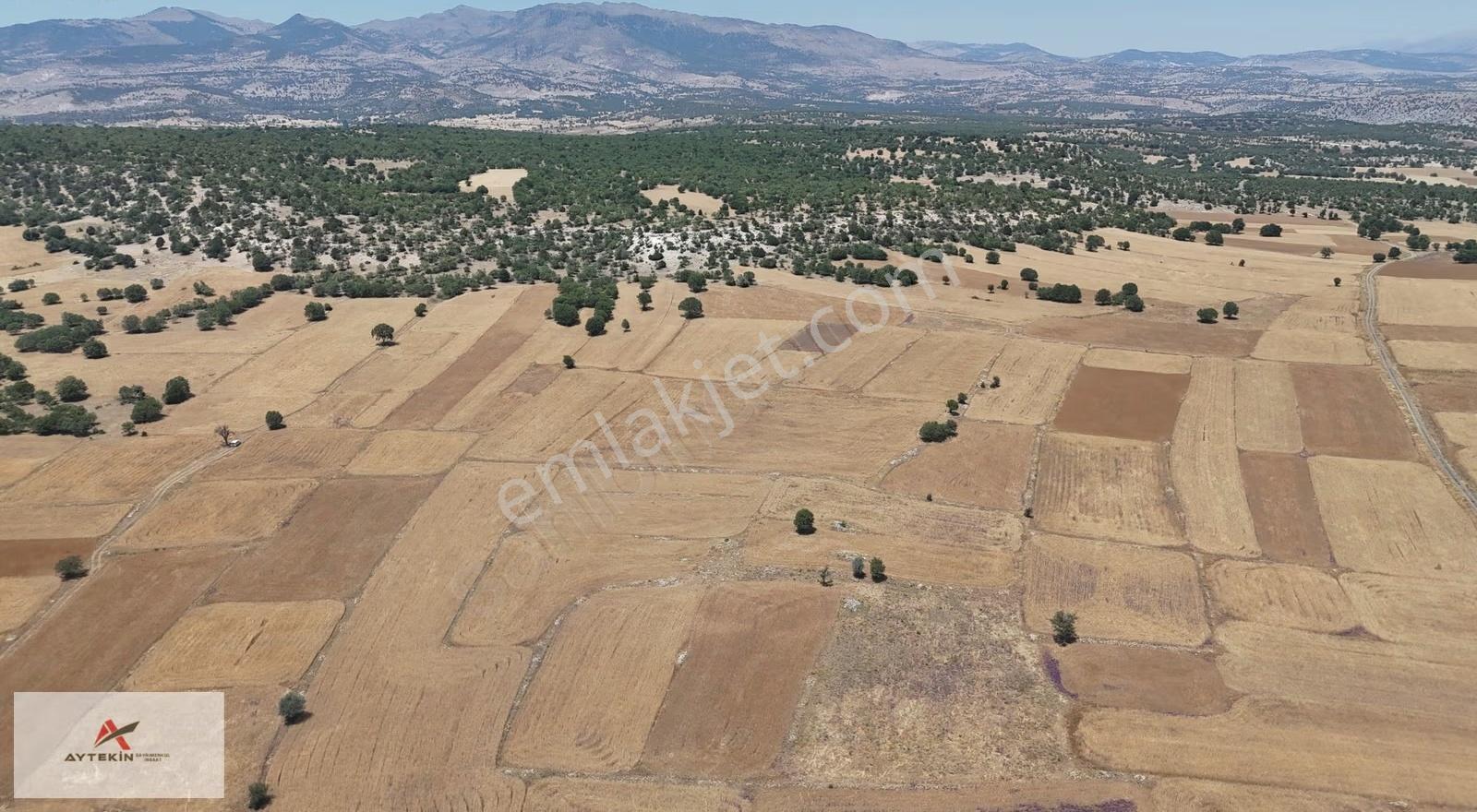 Meram Kilistra Mahallesinde 4.132 M² Müstakil Tapulu Tarla - Görsel 11