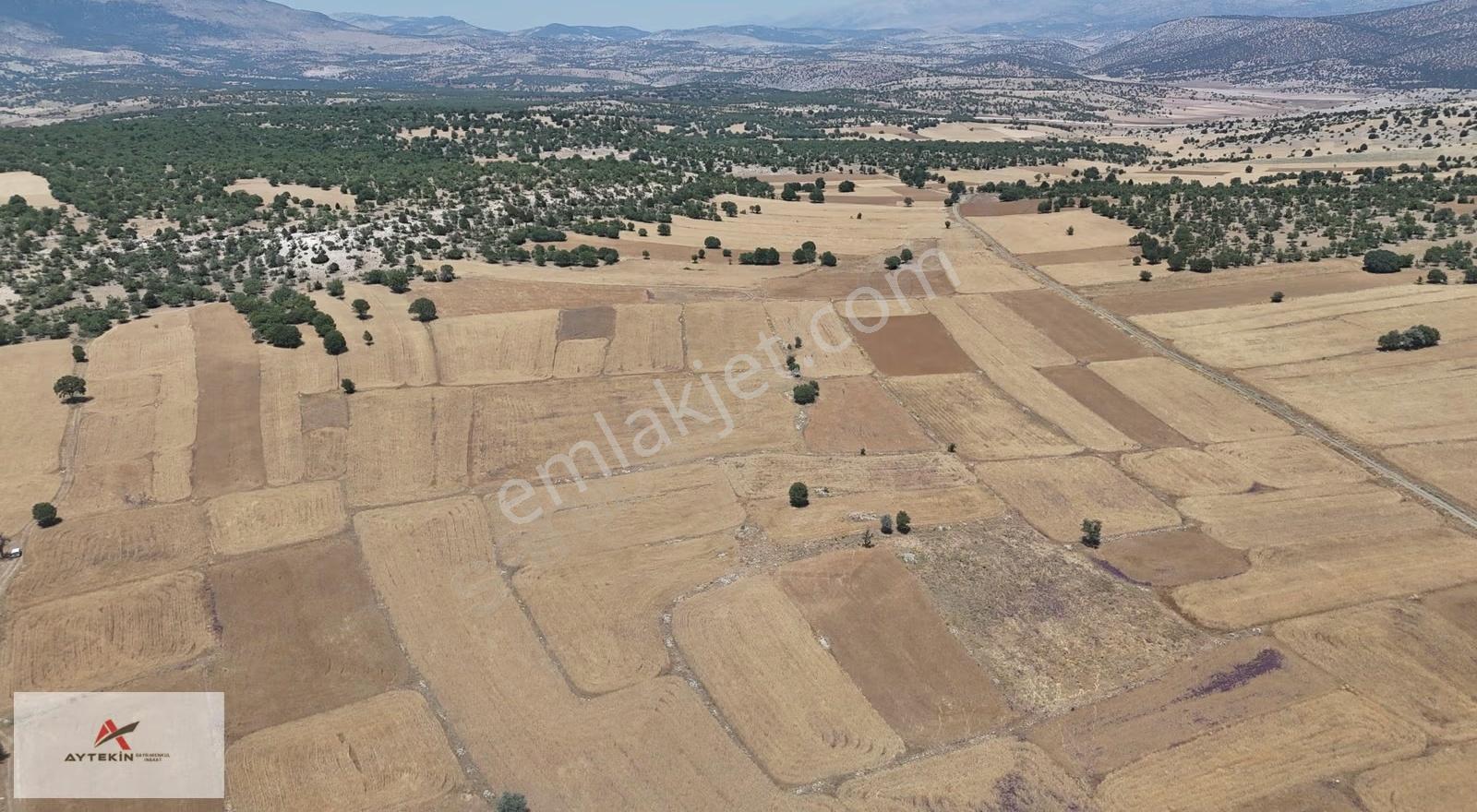 Meram Kilistra Mahallesinde 4.132 M² Müstakil Tapulu Tarla - Görsel 3