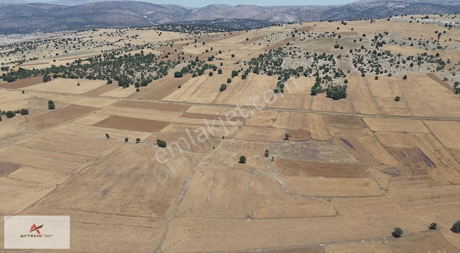 Meram Kilistra Mahallesinde 4.132 M² Müstakil Tapulu Tarla