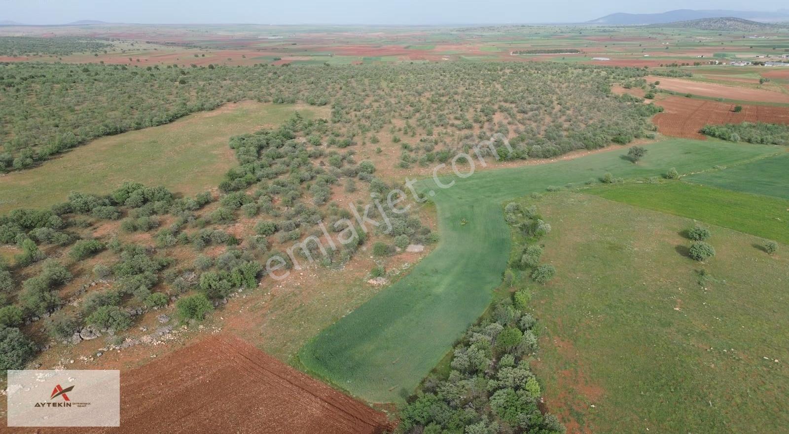 Akören Karahüyük Mahallesinde 2.194 M² Müstakil Tapulu Tarla - Görsel 2