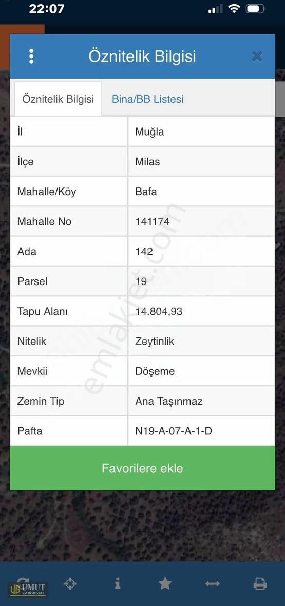 Milasta 15 Dönüm Zeytinlik