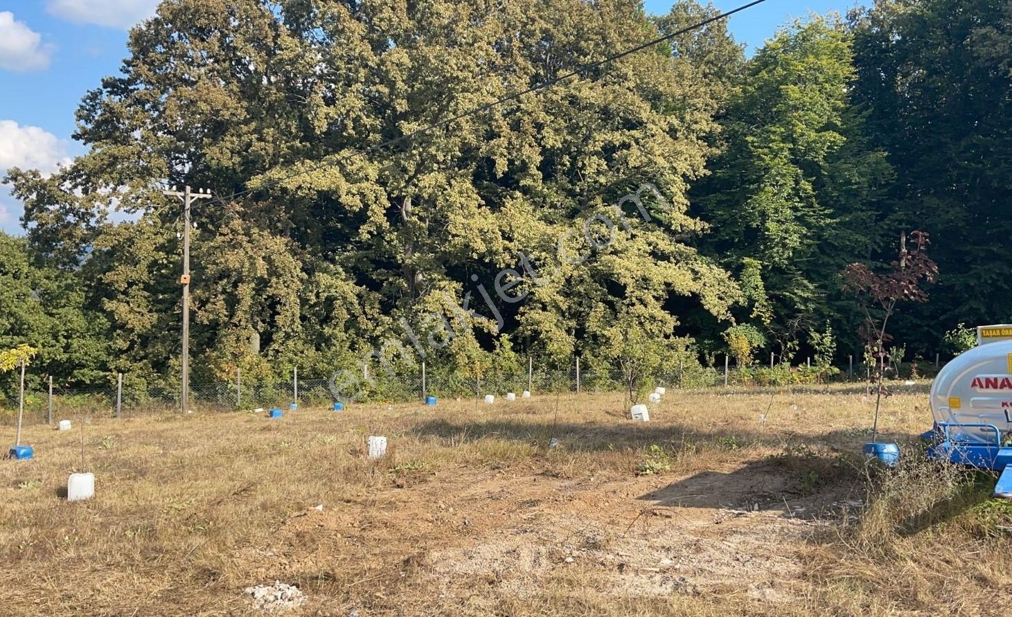Kırklareli Demirköy Boztaş Köyünde Satılık 5066m² Tarla - Görsel 2