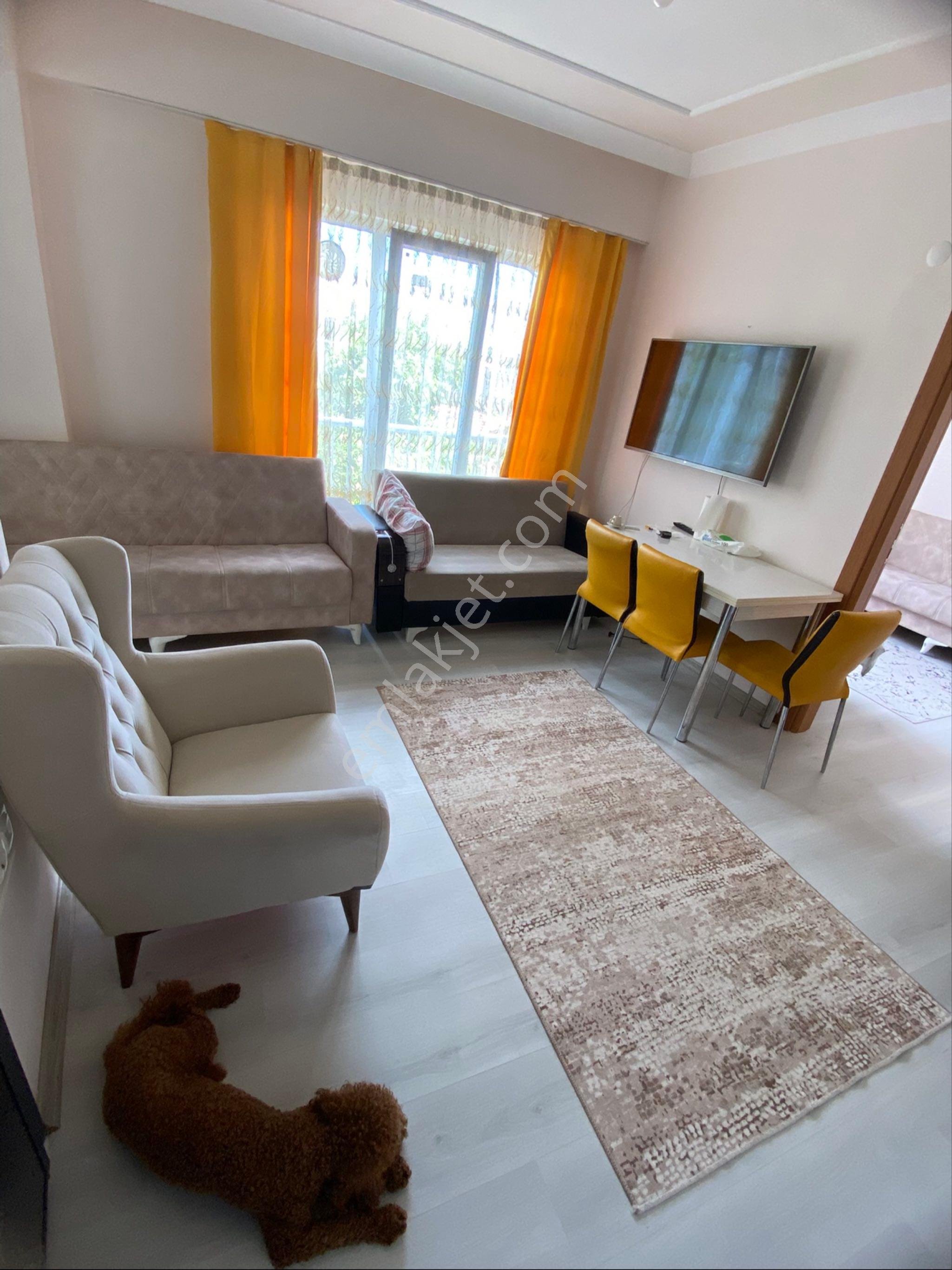 Sahibinden Yeni Bina Doğalgazlı Sıfır Daire
