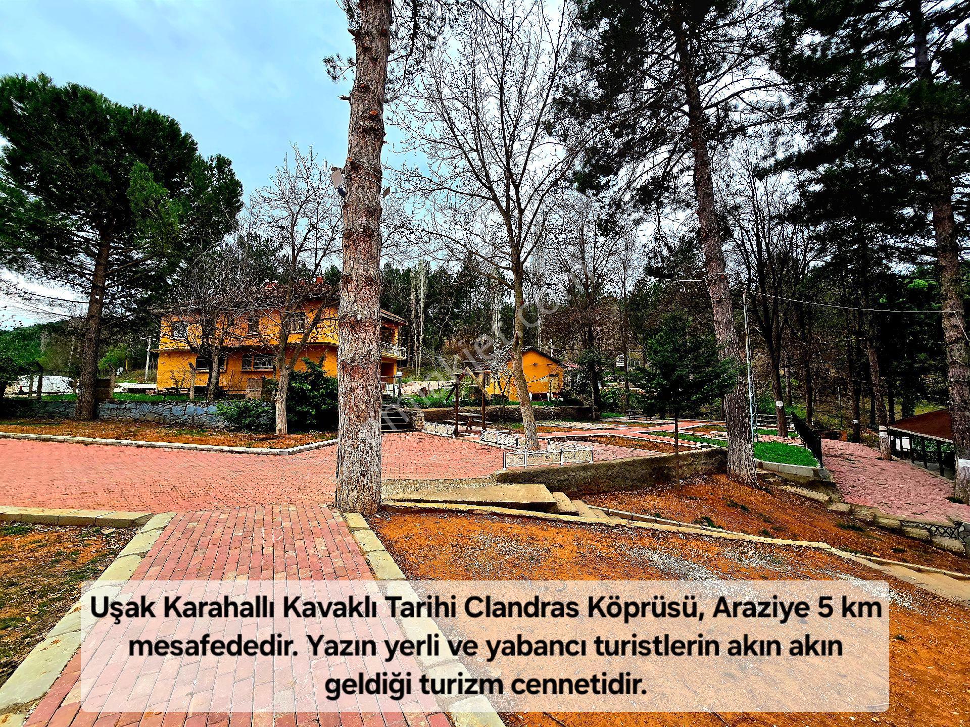 Uşak Karahallı Kavaklı'da Köyiçi 4505 M² Çiftlik İmarlı 110m² Villa Yapılabilir. Açıklamayı Okuyunuz - Görsel 29