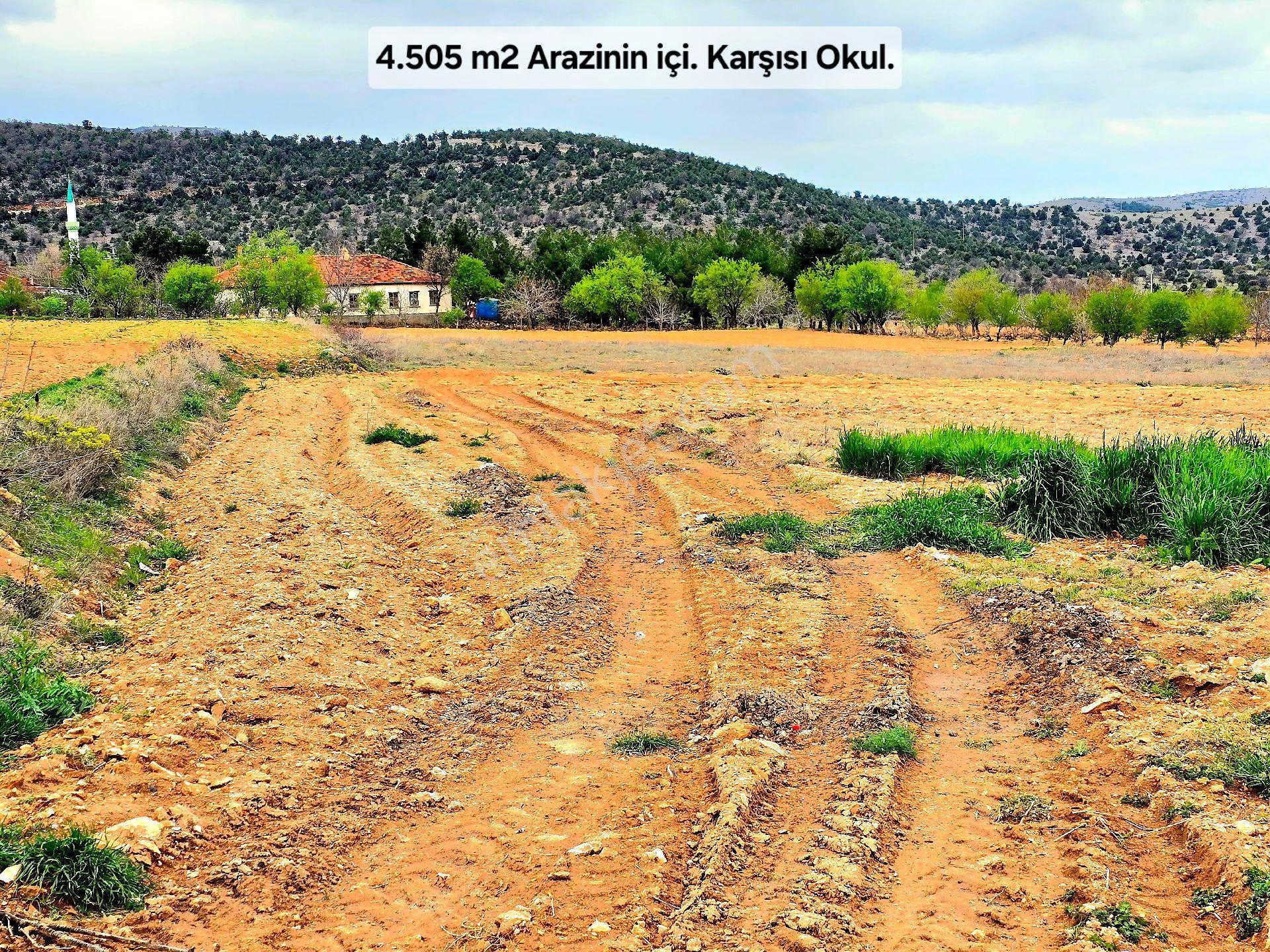 Uşak Karahallı Kavaklı'da Köyiçi 4505 M² Çiftlik İmarlı 110m² Villa Yapılabilir. Açıklamayı Okuyunuz - Görsel 11